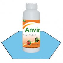 Anvir