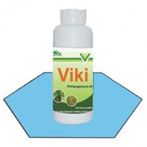 ڤيكي Viki